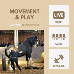 Movement & Play - Zondag