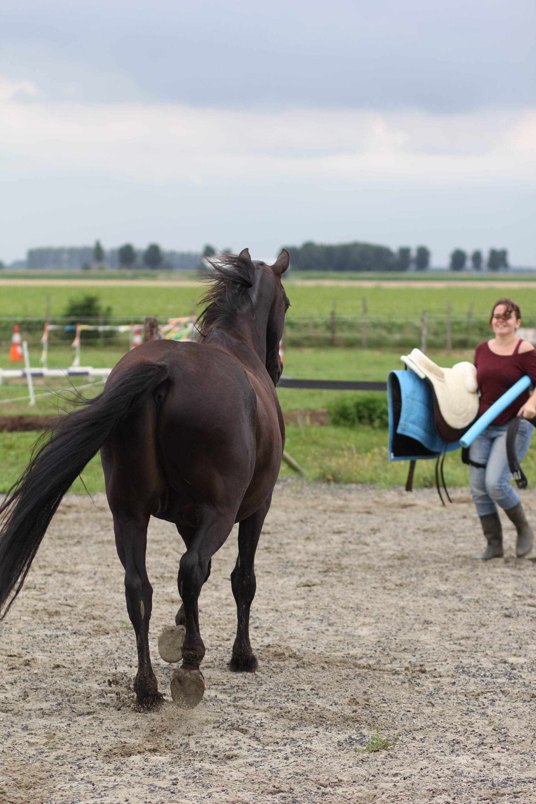 uitnodiging-vrijheidstraining.jpg Zwart paard nadert een trainer met barebackpad en zwembadnoedel