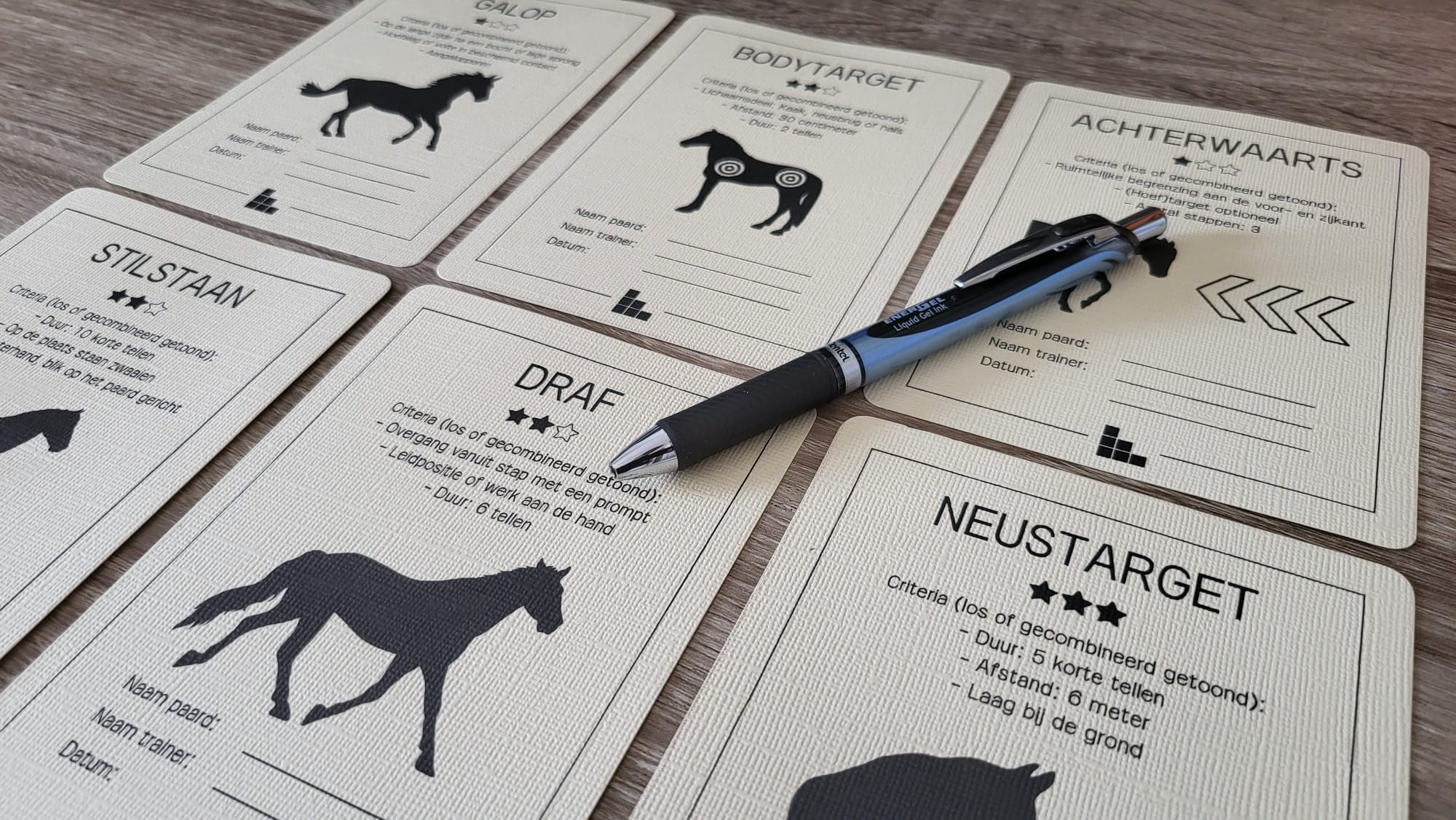  Overzicht van skillkaartjes met oefeningen uit verschillende thema’s