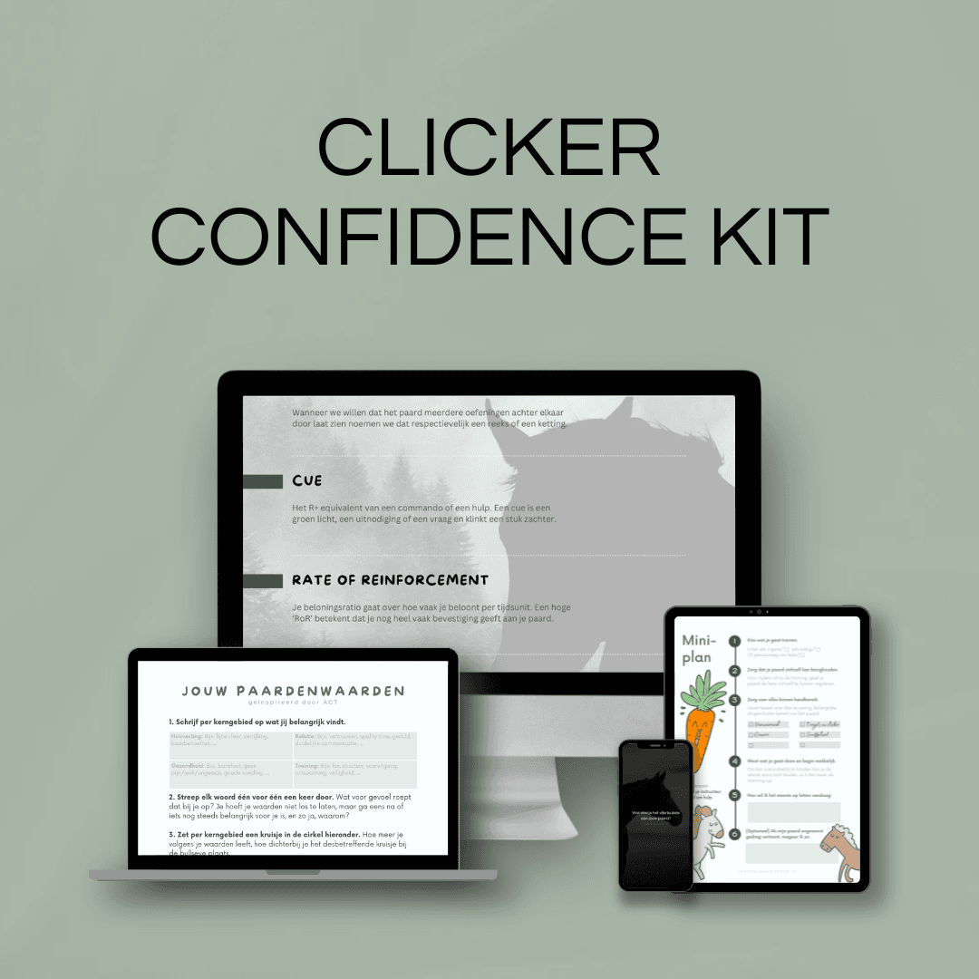 Clickertraining Zelfvertrouwen Pakket