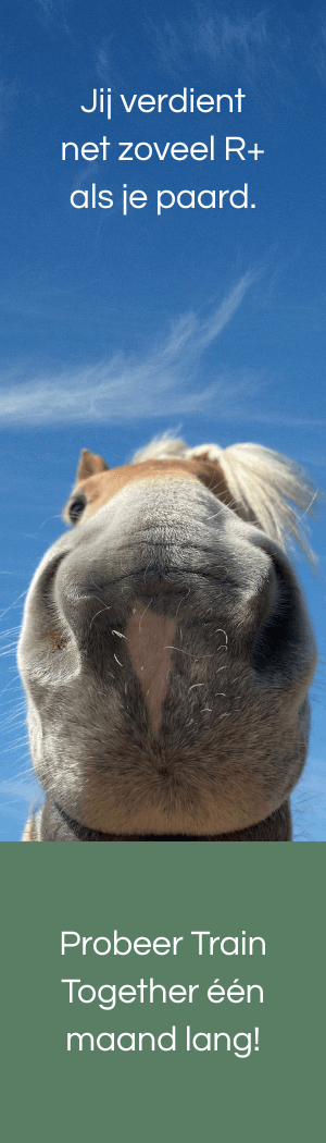 Train Together R+ voor mens en paard