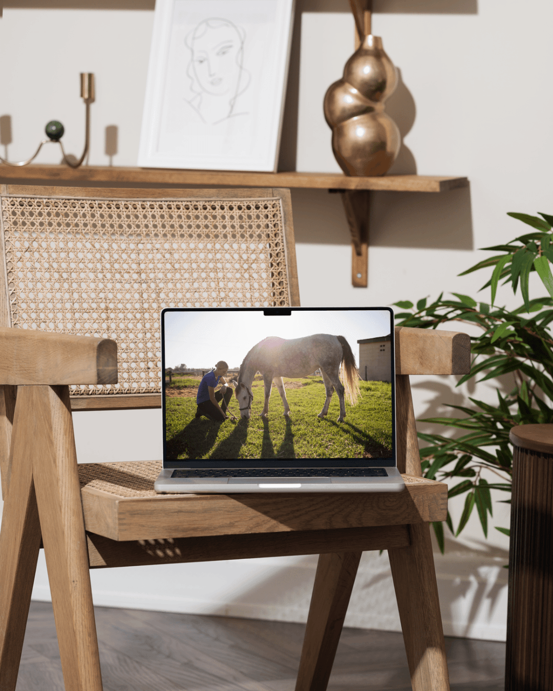 Clickertraining gezamenlijk video's analyseren