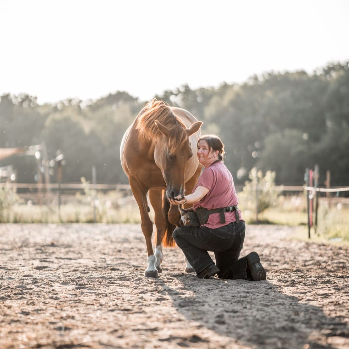 Paard bekappen zonder stress met positieve bekrachtiging – eigenaar houdt ontspannen het voetje omhoog en beloont