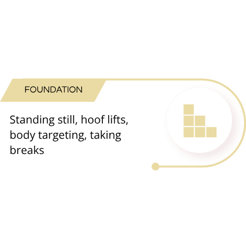 Foundation: Standing still, hoof lifts, body targeting, taking breaks