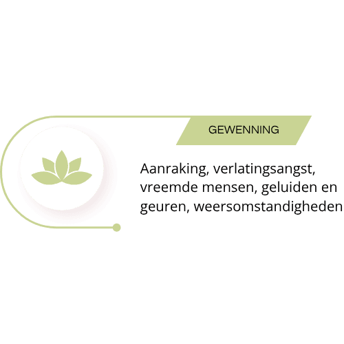 gewenning bekappen desensitisatie bekappen met R+