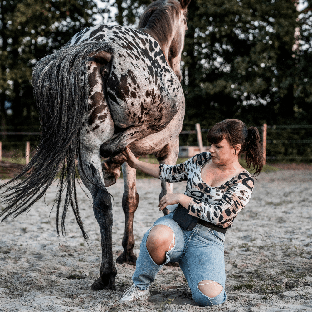 Dedicated private hoof care traject combining trust-based training with hands-on professional support.