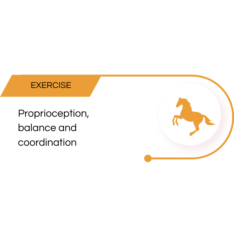 Cooperative hoof care exercise