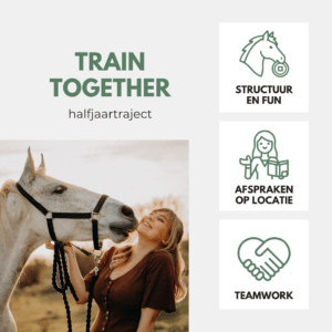 positieve bekrachtiging beloningen clicker training les begeleiding traject
